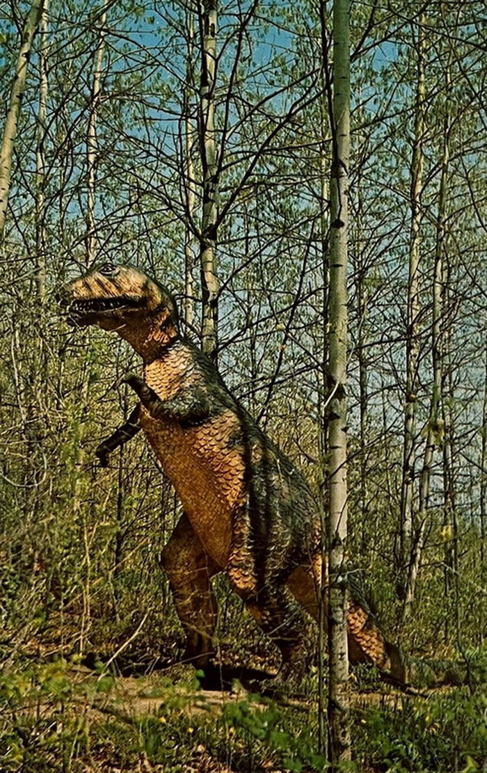 Prehistoric Forest - Vintage Postcard (newer photo)